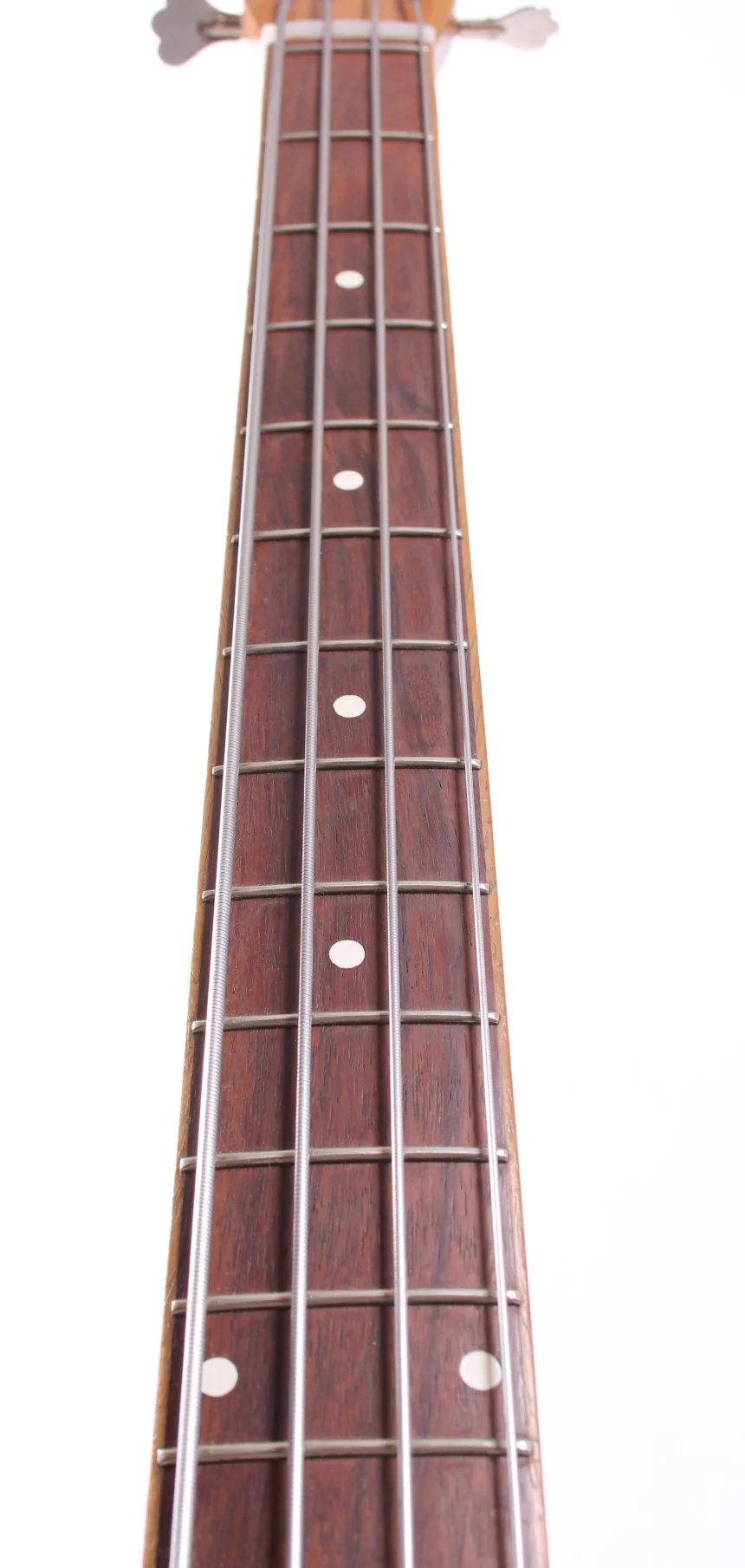 1960s Dynelectron Longhorn Bass copper burst - Image 4