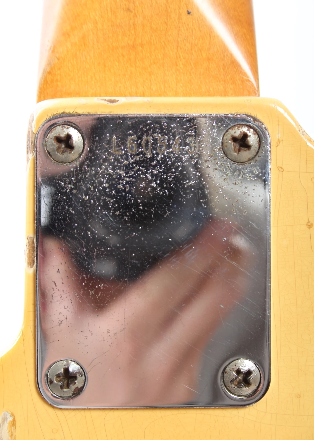 1965 1968 Fender Mustang white - Image 12