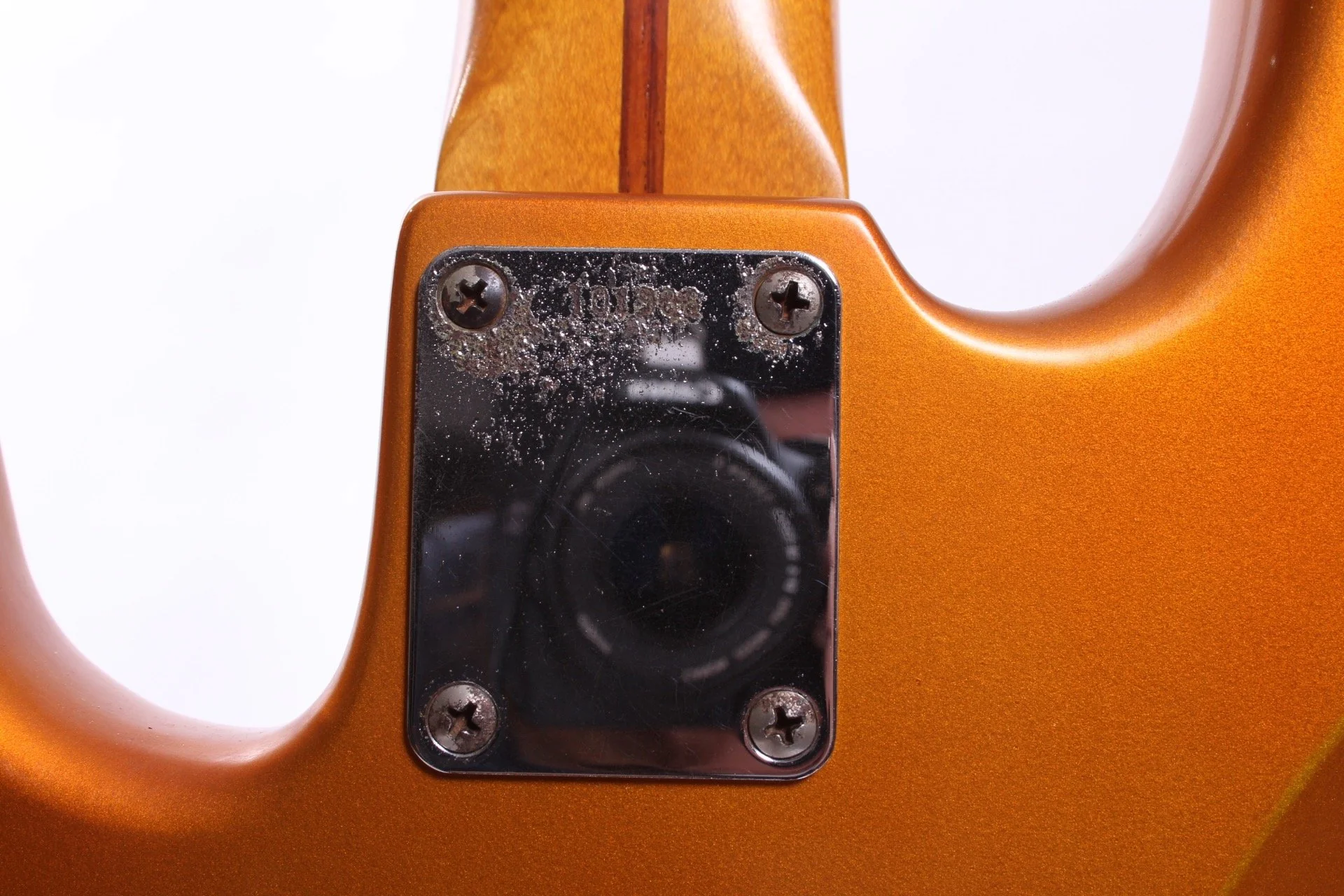 1981 Tokai Precision Bass 57 Reissue gold - Image 11