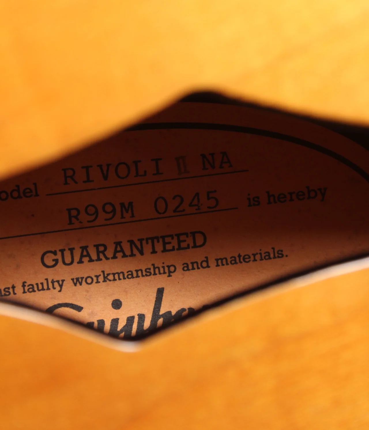 1999 Epiphone Rivoli II natural - Image 11