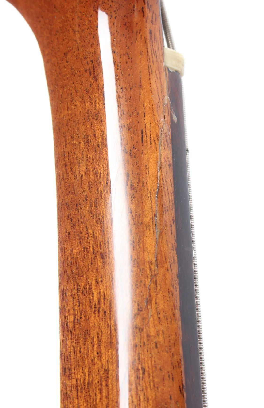 1999 Epiphone Rivoli II natural - Image 12