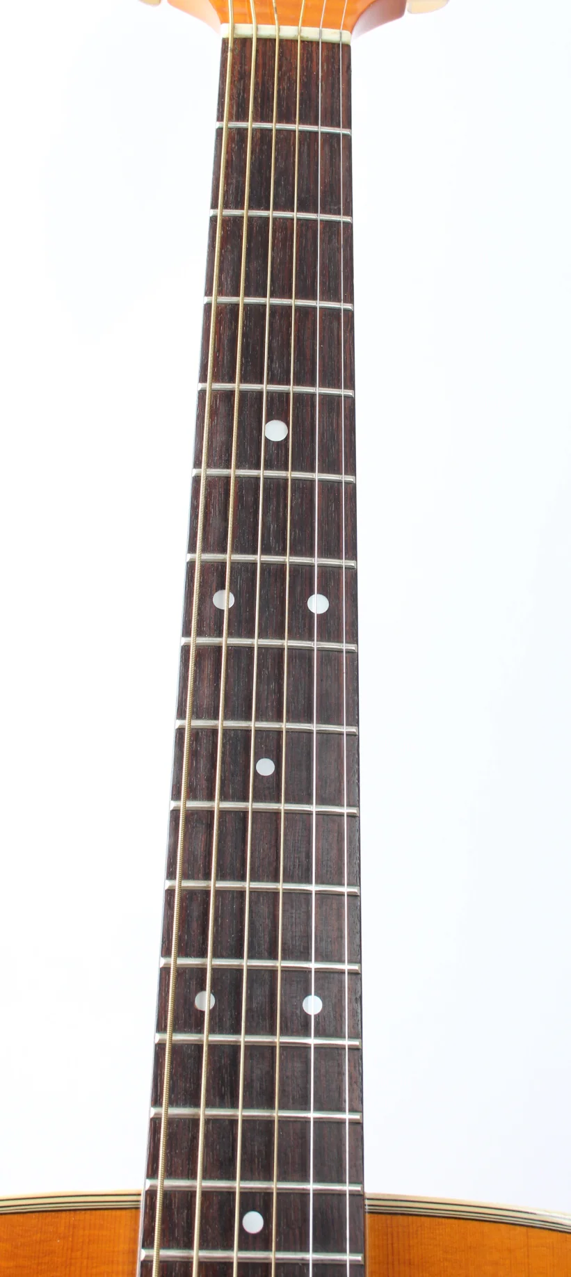 1999 Takamine FD250 SMHG natural amber - Image 4