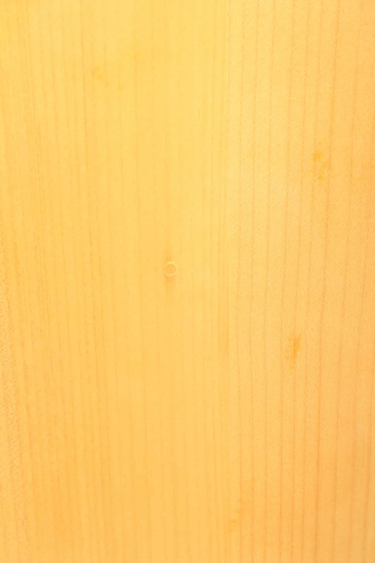 2000 Epiphone Ripper natural - Image 9