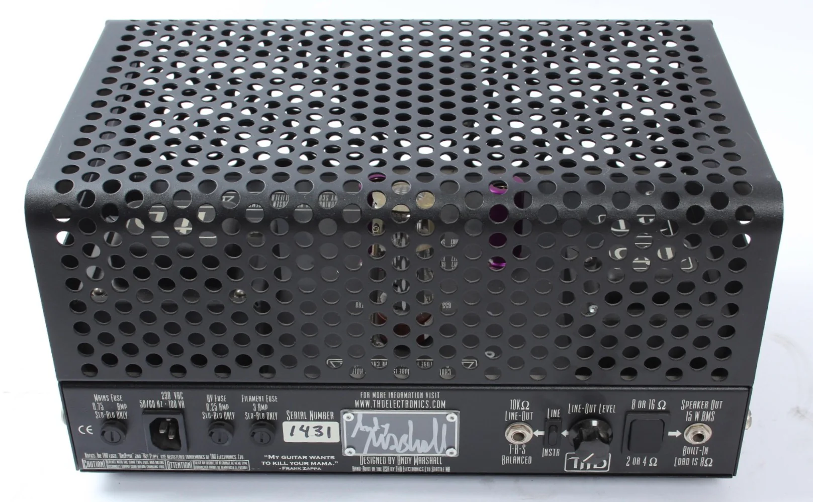 2000s THD Univalve amp - Image 10