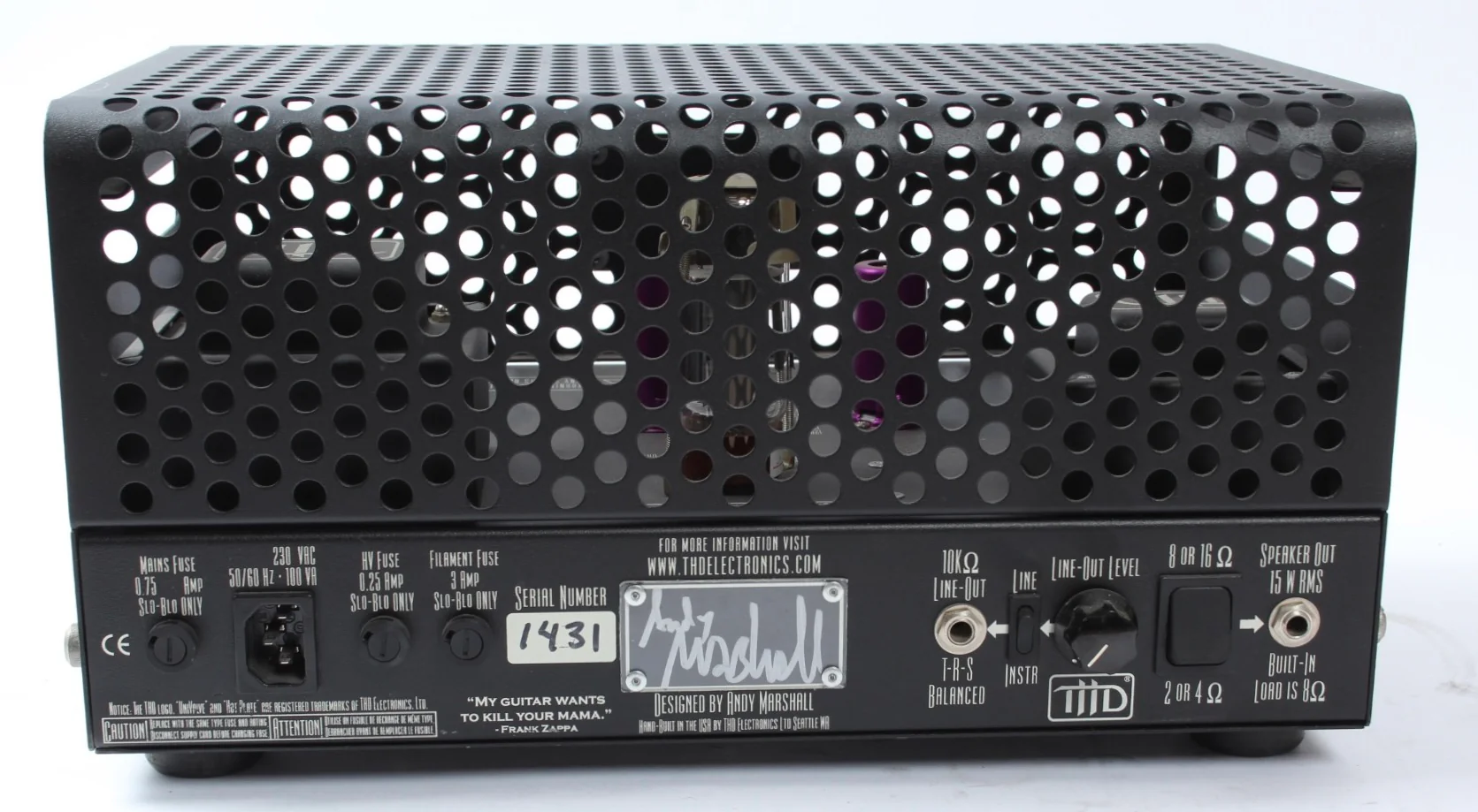 2000s THD Univalve amp - Image 6