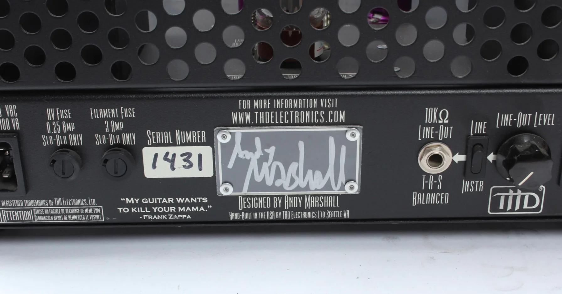 2000s THD Univalve amp - Image 8