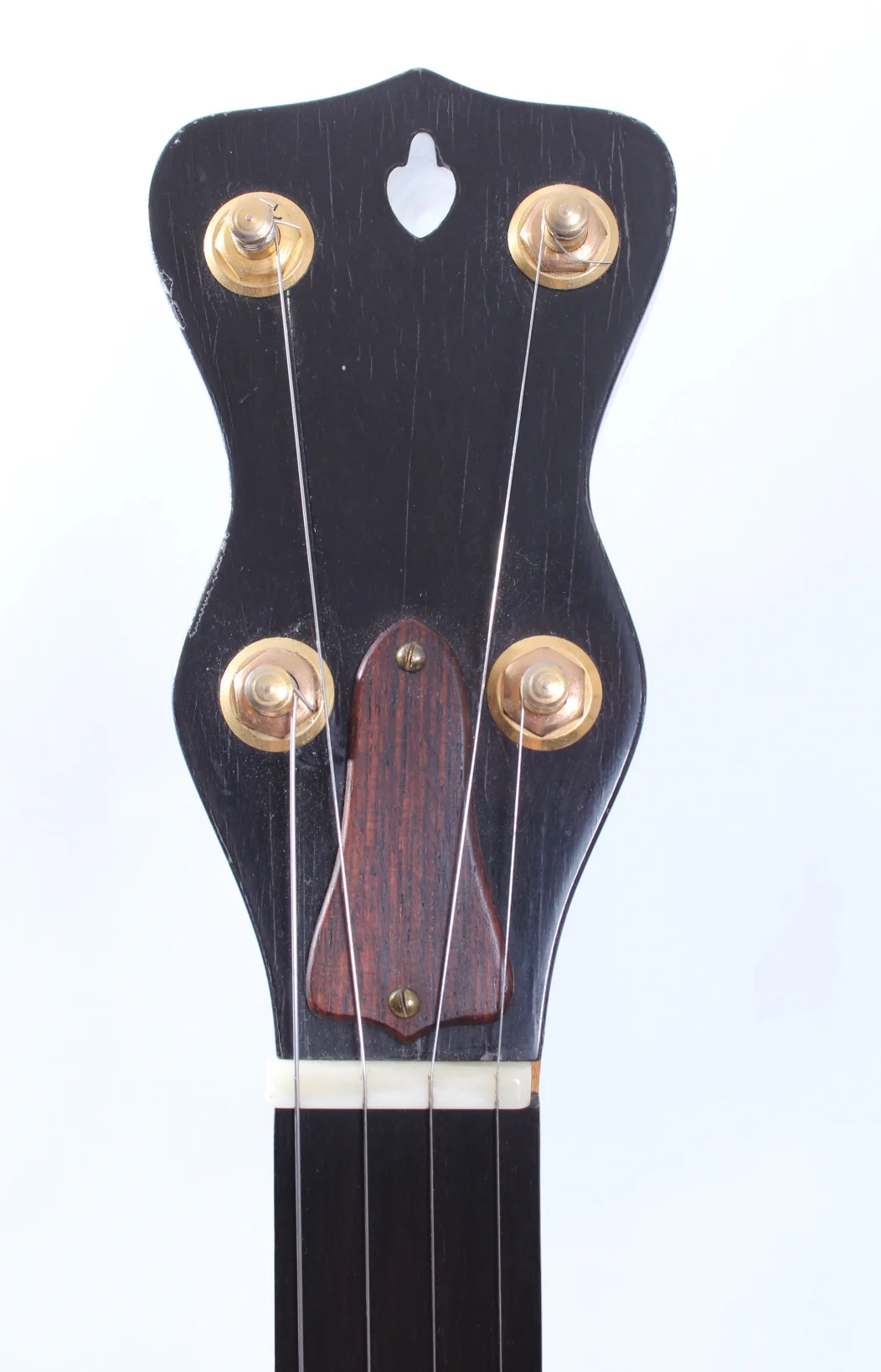 2012 Blue Moon Banjo 5-string fretless natural - Image 5